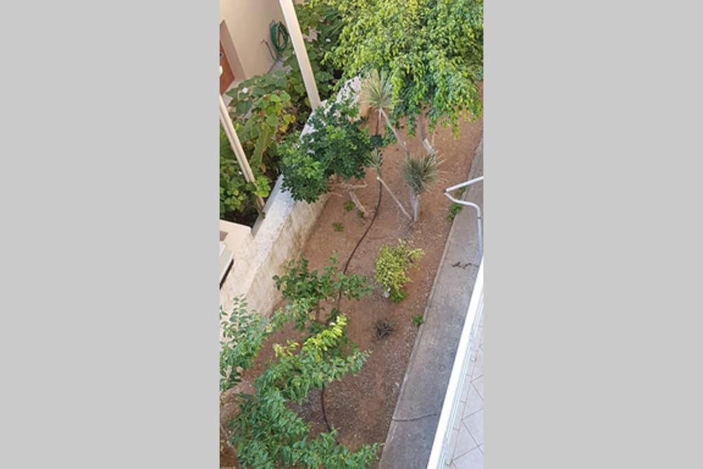 Ellis Apartments , Amperia , Crete Ханья Экстерьер фото
